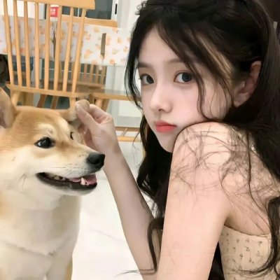 泡芙小姐第二季